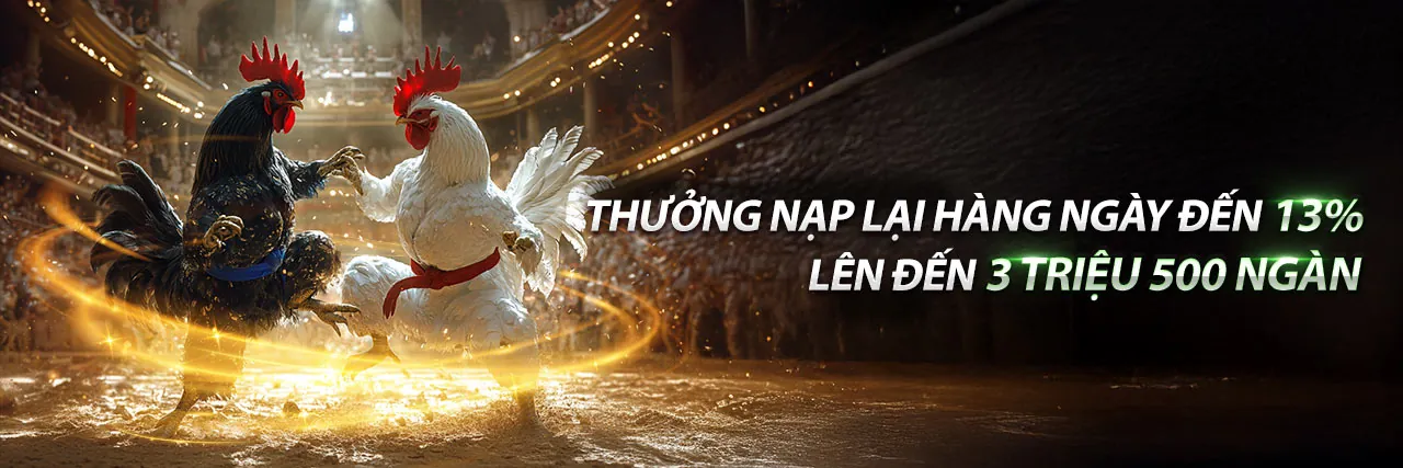 Sân đấu đá gà trực tuyến sôi động tại 66f trang chủ